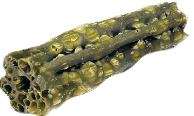 Hondensnack dental s mint/parsley zak 7st - afbeelding 2