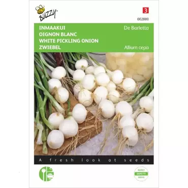 Inmaakui De Barletta - afbeelding 1