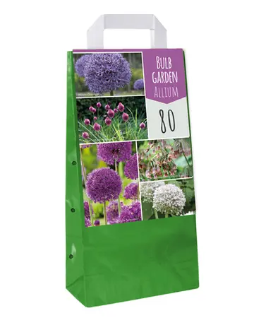 Jub Bulb garden allium 80st