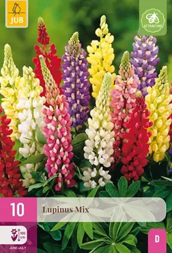 JUB x10 Lupinus Mix