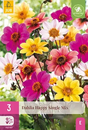 JUB x3 Dahlia Happy Single Mix