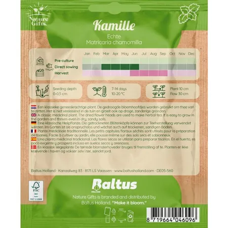 Kamille echte 200st - afbeelding 2