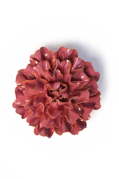 Keramiek Wandbloem Blush Pink Tundra Carnation