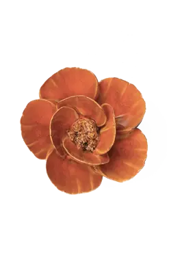 Keramiek Wandbloem Burnt Orange Poppy