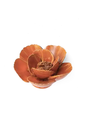 Keramiek Wandbloem Burnt Orange Poppy zij