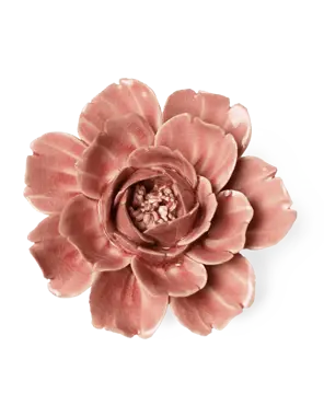 Keramiek Wandbloem Champagne Pink Rose - afbeelding 1