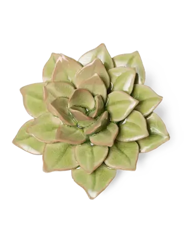 Keramiek Wandbloem Groene Fairy Echeveria - afbeelding 1