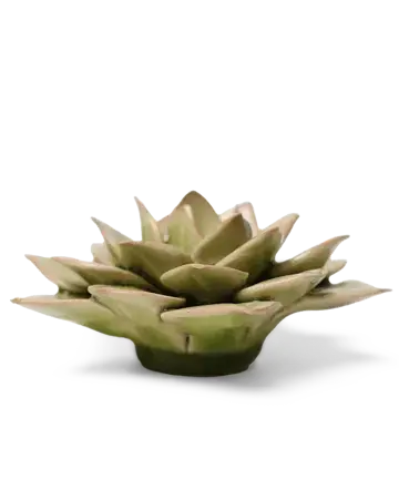 Keramiek Wandbloem Groene Fairy Echeveria - afbeelding 2