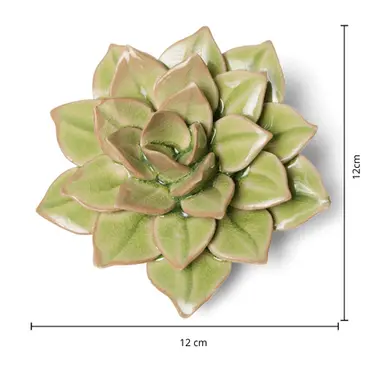 Keramiek Wandbloem Groene Fairy Echeveria - afbeelding 4