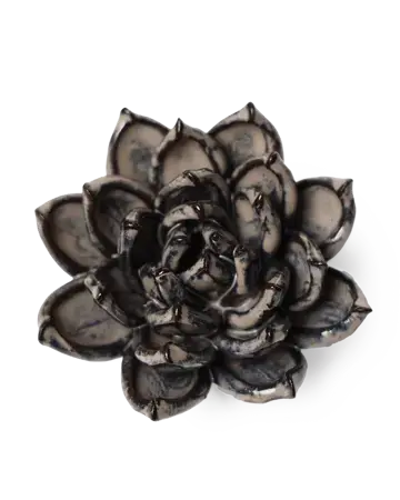 Keramiek Wandbloem Latte Lola Echeveria - afbeelding 1