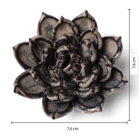 Keramiek Wandbloem Latte Lola Echeveria - afbeelding 4