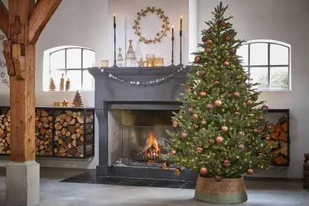 Kerstboom frasier d161 x h260cm groen - afbeelding 4