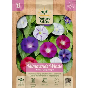 Klimmende winde morning glory mengsel 20st - afbeelding 1