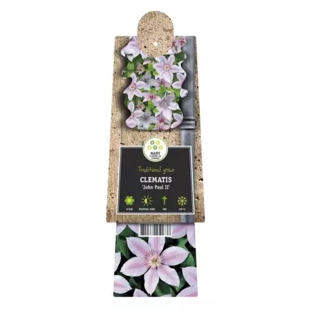 Klimplant Clematis John Paul II