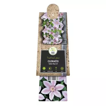 Klimplant Clematis John Paul II