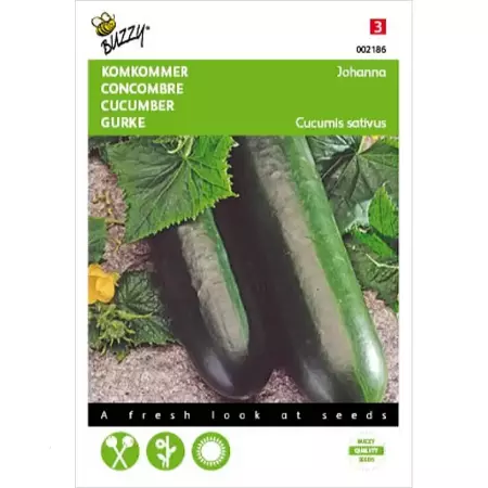 Komkommer Johanna - afbeelding 1