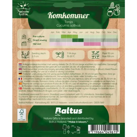 Komkommer tanja - afbeelding 2