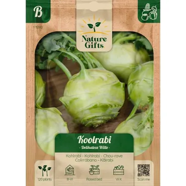 Koolrabi delikatess witte 100st - afbeelding 1