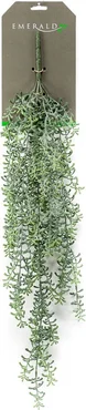 Koraalcactus hangend 72cm groen