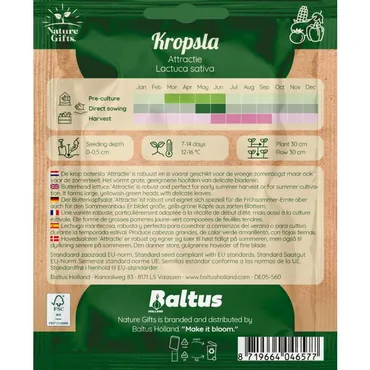 Kropsla attractie 300st - afbeelding 2