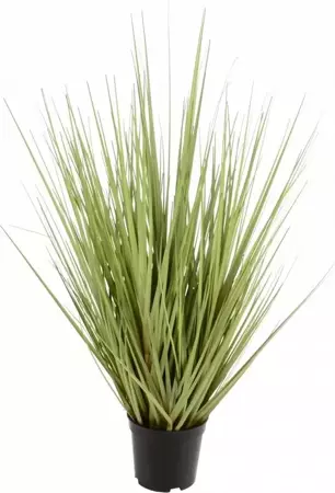 Kunst trilgras h49 cm