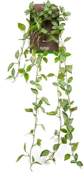 Kunsthangplant Peperomia hangend 85cm groen