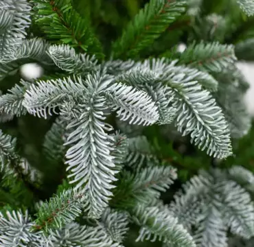 Kunstbomen met sneeuw