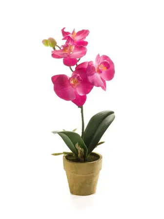 Kunstplant Phalaenopsis Mini Lila - 25cm