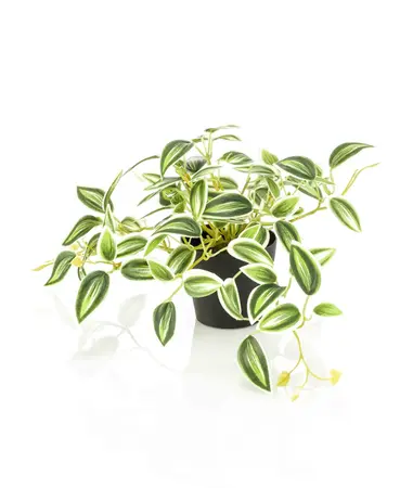 Kunstplant Tradescantia