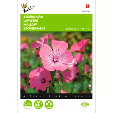 Lavatera, Bekermalva Roze/Rood