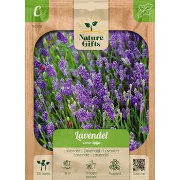Lavendel echte spijk 100st - afbeelding 1