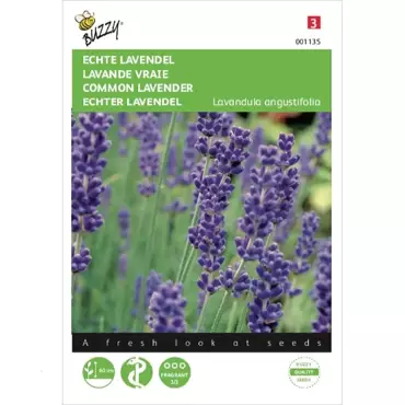 Echte Lavendel