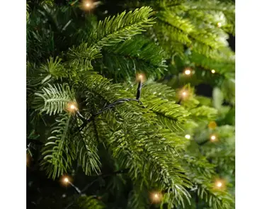 Lumineo basic Rice 720LED 54m klassiek warm - afbeelding 7