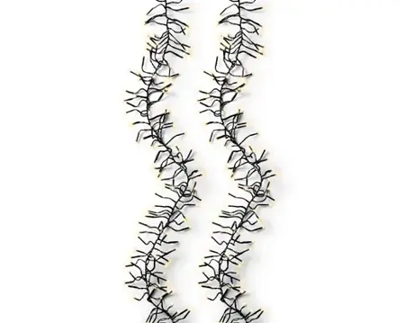 Lumineo cluster kerstverlichting | 288 LED | 2.6 meter | soft gold - afbeelding 5