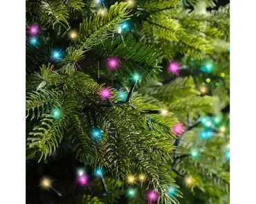 Lumineo compact kerstverlichting | 2000 LED | 45 meter | soft multi colour - afbeelding 6