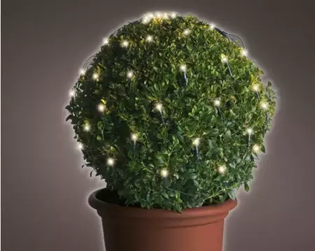 Lumineo Netverlichtingled buxus ø50cm 80led warm wit - afbeelding 3