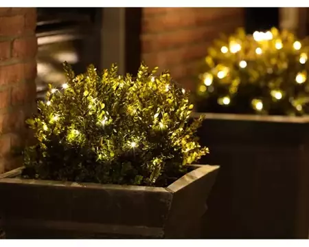 Lumineo Netverlichtingled buxus ø50cm 80led warm wit - afbeelding 4