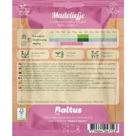 Madeliefje duizendschoon mengsel 100st - afbeelding 2