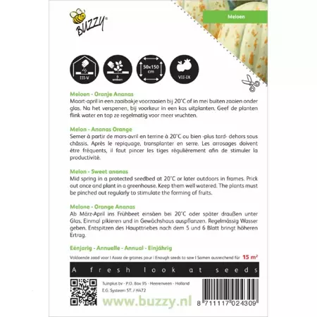 Meloen Oranje Ananas - afbeelding 2