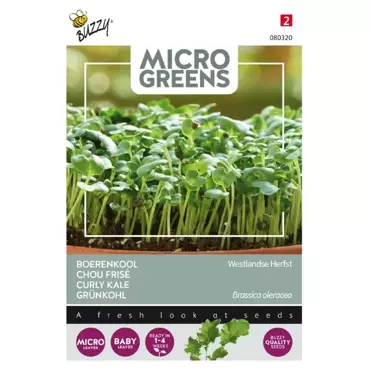 Microgreens, Boerenkool Westlandse Herfst