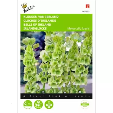 Molucella, Klokken van Ierland