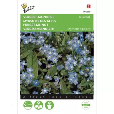 Myosotis, 'vergeet-me-nietje' blauw