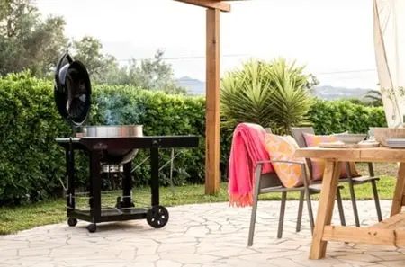 Napoleon Charcoal Pro PRO22K-CART-3 57 cm - afbeelding 6