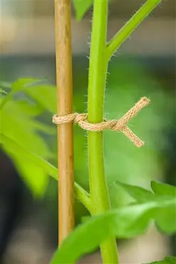 Nature Jute touw naturel ijzeren kern 5m - afbeelding 2