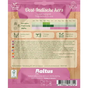 Oost-indische kers lage mengsel 20st - afbeelding 2