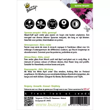 Osteospermum, Spaanse Margriet Akila mix - afbeelding 2