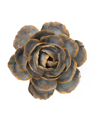 Pale Blue English Rose