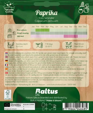 Paprika yolo wonder 40st - afbeelding 2
