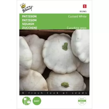 Patisson Custard White - afbeelding 1