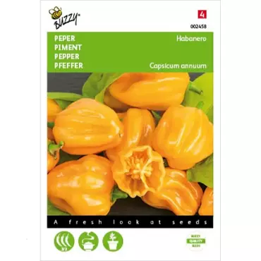 Peper Habanero oranje
